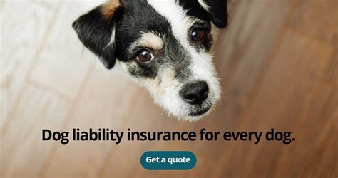 Dog Liability Insurance Dog Bite Insurance For Dog Owners