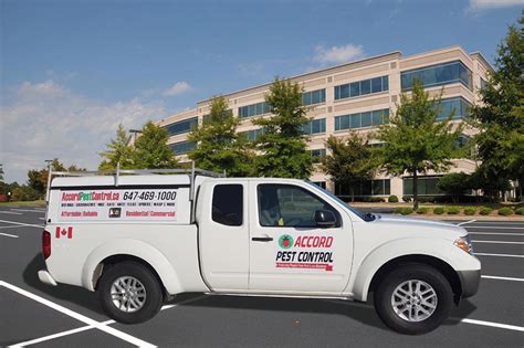 They are among the most efficient local ant exterminators. Affordable pest control in the Kitchener