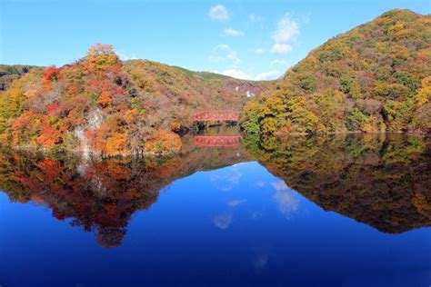 鳥取(1728) 島根(1725) 岡山(9740) 広島(11470) 山口(5564). 彩り鮮やかな秋の大自然を満喫しよう!｜見どころいっぱい ...