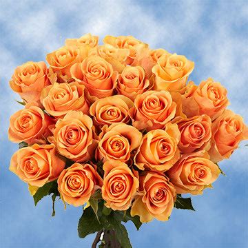 It can be located in the details table. Two Dozen Valentine's Day Peach Roses Free Delivery ...