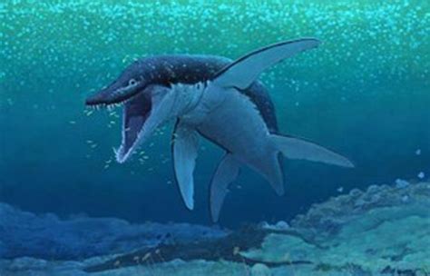 The Fossils Of A 170 Million Year Old Ancient Marine Reptile Named