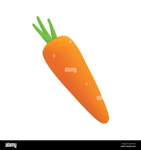 Realistic 3d Carrot Vector Icon Carrot Fruit Vector Icon Isolated On