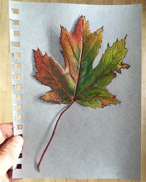 John Britton On Instagram Maple Leaf In Colored Pencil Maple Leaf