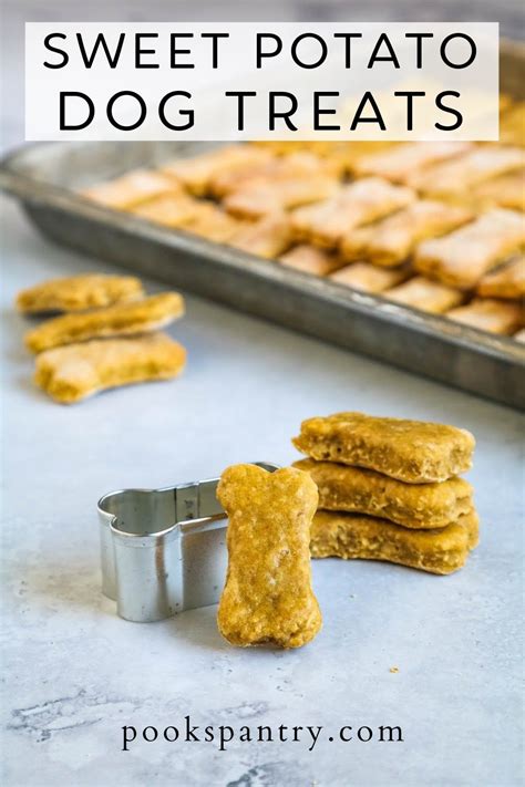 How To Make Healthy Sweet Potato Dog Treats Recipe Sweet Potatoes