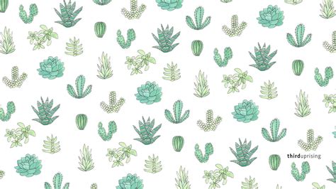 Succulent Aesthetic Desktop Wallpapers On Wallpaperdog