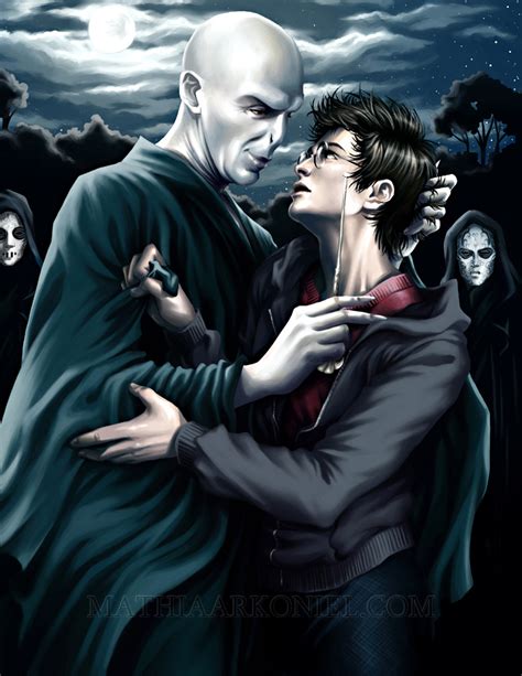 Voldemort Harry Books Male Characters Fan Art 28488516 Fanpop