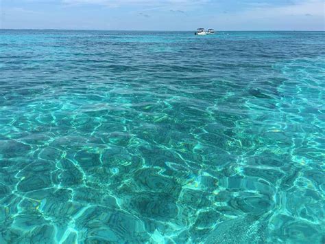 Tripadvisor has 1,098,415 reviews of florida keys hotels, attractions, and restaurants making it your best florida keys resource. Diving In The Florida Keys, USA - Best Dive Site For Beginners