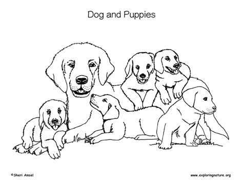 Look at how the puppy is happy! Dogs and Puppies Coloring Page