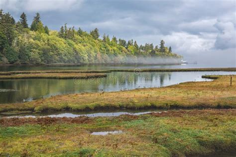 Low Tide At Nisqually National Wildlife Refuge In Olympia Washington
