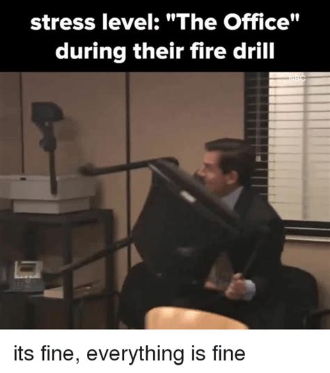 On Fire Everythings Fine Meme