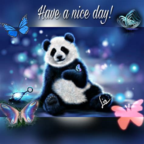 Have A Nice Day Panda Good Day