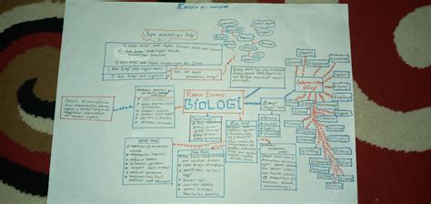 Mind Map Dan Peta Konsep Materi Ruang Lingkup Biologi Ambil Aja