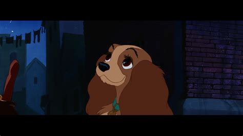 The Lady And The Tramp Characters © Lady And The Tramp