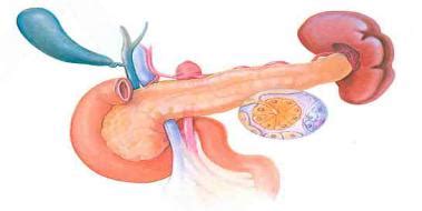 Rahim ağzı kanseri diye bilinen serviks bölgesinde oluşan kanser türüdür. Popüler İçerik - pankreas.gen.tr