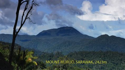 Check spelling or type a new query. BLOG BUKU BARU: Malaysia: 10 gunung tertinggi di Malaysia