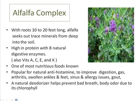 Alfalfa Complex Double Click This Pin For More Information From The