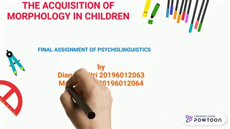 The Acquisition Of Morphology In Children How Is The Development Of