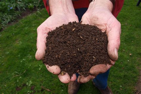 The Science Of Composting And How To Do It From Home This Summer
