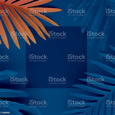 Collection Of Pastel Tropical Leavesfoliage Plant With Space Background