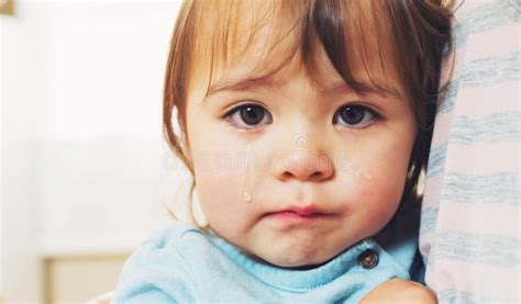 Closeup Of A Crying Little Toddler Girl Stock Photo Image Of