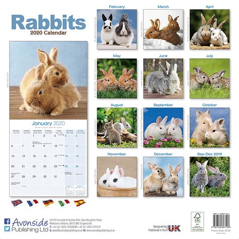 Rabbits Calendar 2020 Pet Prints Inc