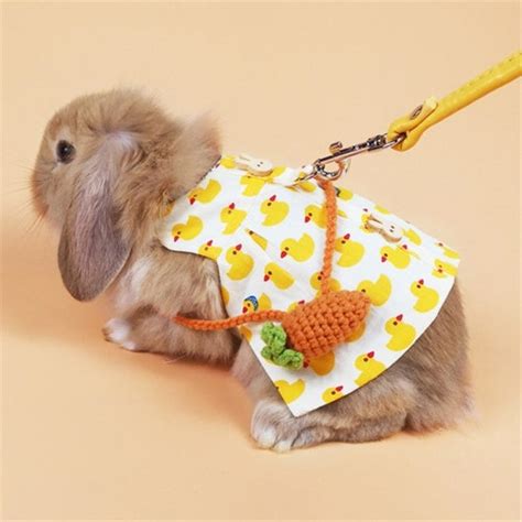 Pet Rabbit Clothes Denim Jacket Coat Small Animal Harness Etsy