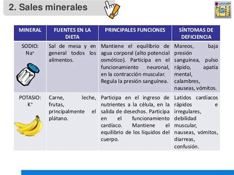 Clase 3 Biomoléculas Inorgánicas Agua Y Sales Minerales