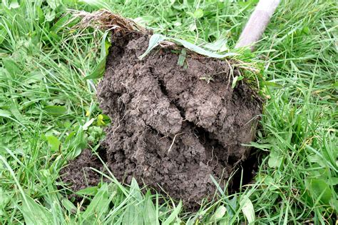 The effect of irrigation on soil — The AgriBusiness Group