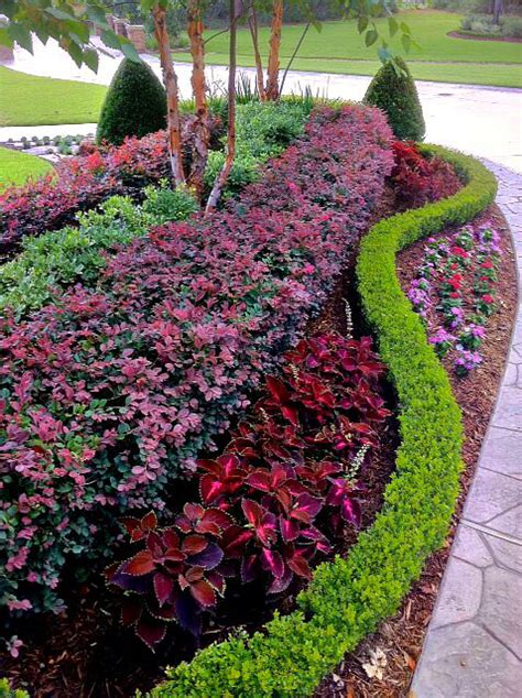 Seasonal Plants Add A Punch Of Color To Your Landscape