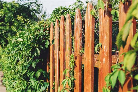 30 Diy Cheap Fence Ideas For Your Garden Privacy Or Perimeter Design Talk