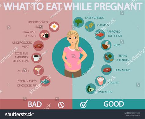 pregnant woman diet infographic food guide stock vector royalty free 1088215880 shutterstock