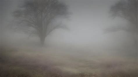 Premium Ai Image Ethereal Mist Layers Of Mist And Fog In Muted Tones