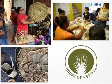 The Vetiver Education And Empowerment Project Veep Model The Vetiver