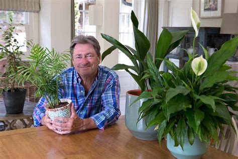 How To Divide House Plants Bbc Gardeners World Magazine