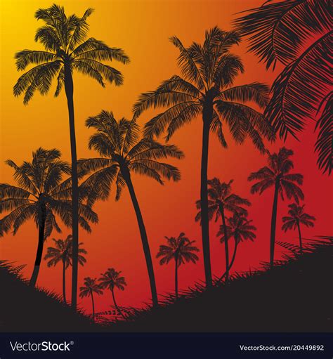 Sunset Palm Tree Silhouette