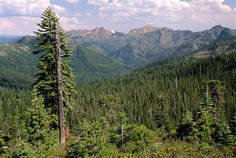 Best Hikes In Rogue River Siskiyou National Forest Or Trailhead