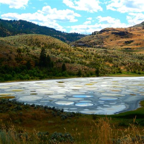 Spotted Lake Osoyoos All You Need To Know Before You Go