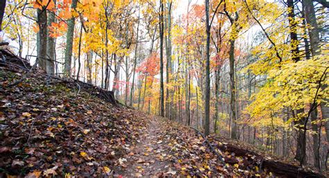 Hiking Trails For Kid Friendly Day Trip Adventures Near Omaha