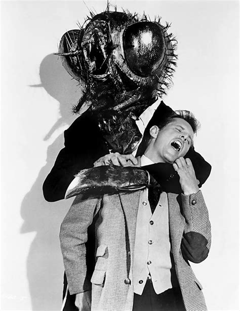 1958 The Fly Actor Unknown James Vaughan Flickr