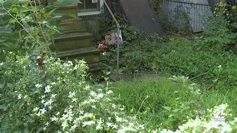 Neighbors Frustrated With Overgrown Yard In East Baltimore Youtube