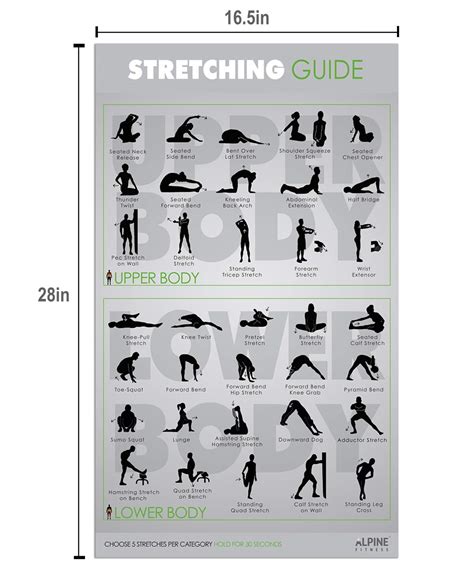 Workout Posters For Home Gym Alpine Fitness Exercise Poster Bundle
