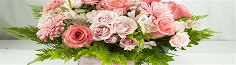 Entrega de flores a domicilio en la región metropolitana. FLORES A DOMICILIO, ENVIO DE FLORES FLORERIAS EN SANTIAGO ...