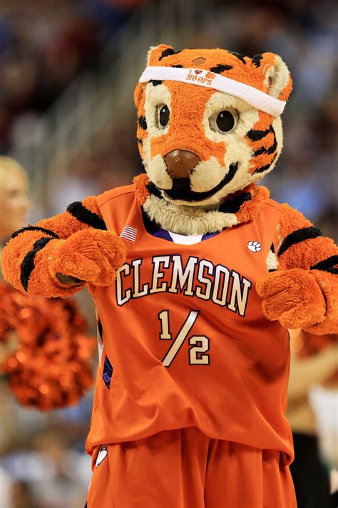 College Football The 18 Most Frequently Used Mascot Names In Ncaa