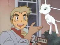 Is this butterfly meme generator. Is This a Pigeon? | Know Your Meme