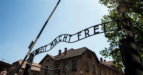Auschwitz Demonstrators Who Killed Sheep Werent Neo Nazis Officials Say The New York Times