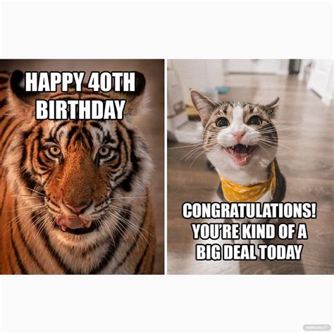 Free Happy 40th Birthday Meme  Illustrator  Psd Png
