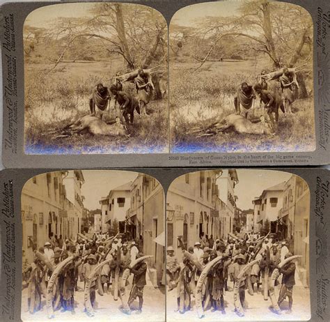 Stereo Cards Of Big Game Hunting By Underwood And Underwood 1909