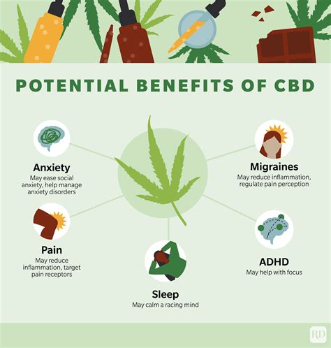 the ultimate guide to cbd types benefits recipes buying guide trusted since 1922