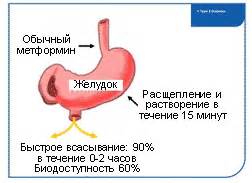 Диета и глюкофаж лонг Глюкофаж лонг и обычный в чем разница Глюкофаж лонг и обычный в чем разница Диета и глюкофаж лонг