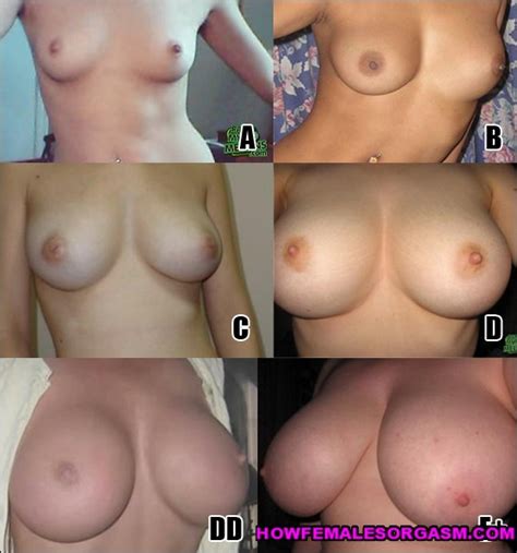 Nude Breast Size Boob Chart Picsninja